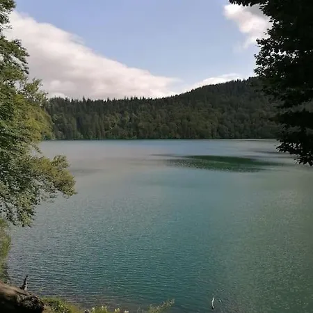 Antoinette 생 넥테르