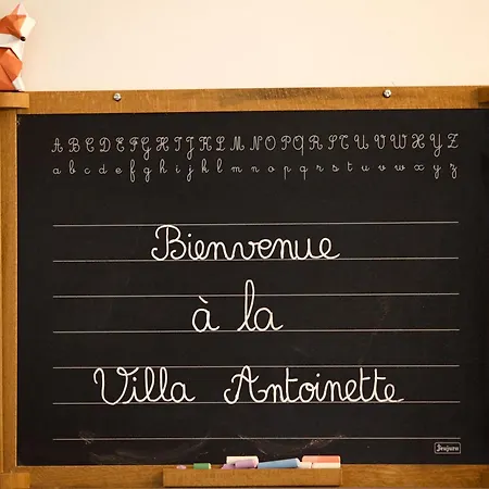 Antoinette * Saint-Nectaire